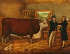 Thomas Weaver, Independence' (Prize Hereford Bull), 1803, oil on canvas