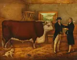 Thomas Weaver, Independence' (Prize Hereford Bull), 1803, oil on canvas