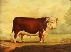 Edward Algernon Douglas, Spring Jack' (Prize Hereford Bull), 1892, oil on canvas