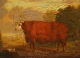 William Gwynn, The Great Herefordshire Ox!' (Prize Hereford Bull), oil on panel