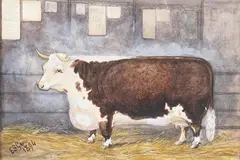 E.S. Gauci, Hereford Cow Miss Severn' and 'Hereford Bull Grove Wilton' (Prizewinning Hereford Cattle), 1894, a pair of watercolours heightened with gouache