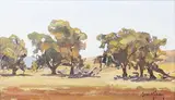 Brian Halliday, Landscape with Trees, probably Wanaka, New Zealand, oil on canvas-board
