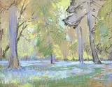 Leonard Richmond, Forest Glade with Bluebells, 1920, pastel with coloured chalks