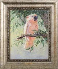 Kim Brooks, Moluccan Cockatoo (or Salmon-Crested), oil on canvas