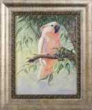 Kim Brooks, Moluccan Cockatoo (or Salmon-Crested), oil on canvas
