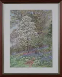 Beatrice Emma Parsons, Spring Garden with Blossom, Bluebells and Primroses, watercolour