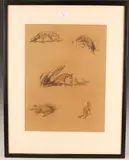 Raoul Millais, Studies of Foxes, 1928, pastel with coloured chalks