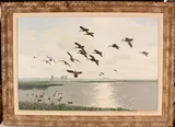 Peter Scott, Red-billed Teal at a Pan in Heidelberg, South Africa, 1962, oil on canvas-board