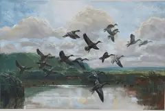 Peter Markham Scott, Cape Teal, Shoveler, Red-billed Teal, Black Duck taking flight, 1962, oil on board