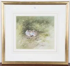Roger McPhail, Partridge Pair, watercolour with gouache