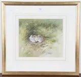 Roger McPhail, Partridge Pair, watercolour with gouache