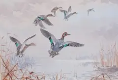 John Cyril Harrison, Teals in Flight, oil on canvas