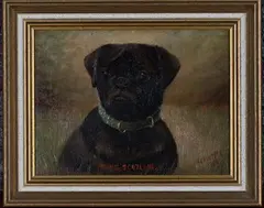 Henry Crowther, Young Scotland' (Head Study of a Pug Dog), 1916, oil on canvas