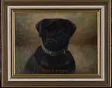 Henry Crowther, Young Scotland' (Head Study of a Pug Dog), 1916, oil on canvas