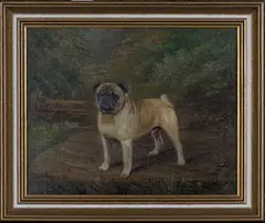 Henry Crowther, Pugnacious Patrick' (Standing Pug Dog), 1921, oil on canvas