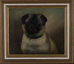 Henry Crowther, Roger' (Head Study of a Pug Dog), 1912, oil on canvas