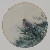 Vincent Balfour-Browne, Pigeon, watercolour and gouache