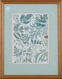 William Keble-Martin, Botanical Study (Illustration for 'Concise British Flora'), gouache