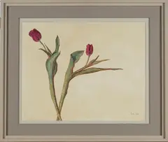 Carolyn Sergeant, Two Red Tulips, oil on board