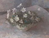 Mary Kent Harrison, Cupfull of Windflowers, 1982, oil on canvas
