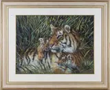 Joel Kirk, Study of a Tiger with Cubs, pastel