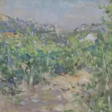 Diana Maxwell Armfield, Vines below San Gimignano, oil on canvas-board