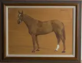 F. M. Hollams, Sunbeam' (Study of a Racehorse)