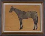 F. M. Hollams, Grand Canal' (Study of a Racehorse)