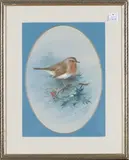 Archibald Thorburn, Oval Study of a Robin