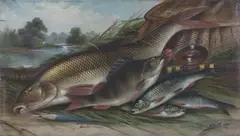 A. Smith, Study of Fish and Tackle on a River bank, 1895, oil on canvas