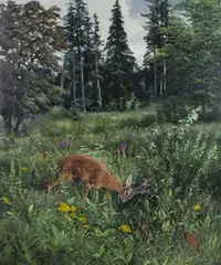 Douglas Anderson, Study of a Young Stag in a Woodland Glade with Flowers and Trees beyond, oil on canvas