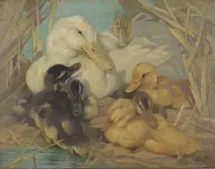 Mabel Gear, Ducks amongst Reeds, oil on canvas