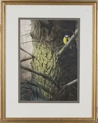 Jeremy Paul, Great Tit, watercolour with gouache