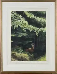 Jeremy Paul, Roe Buck, watercolour with gouache