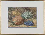 Thomas Frederick Collier, Still Life of Pineapple, Grapes and Rose Hips on a Mossy Bank, 1871, watercolour