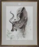 Ralph Thompson, Study of a Kudu, pastel and watercolour