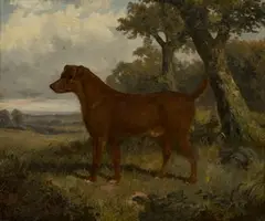 James Clark, Study of a Dog in a Landscape, oil on canvas