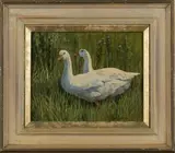 Donna Crawshaw, Two Geese, oil on board