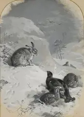Archibald Thorburn, Grouse and a Hare in a Snowy Landscape, monochrome watercolour and gouache