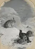 Archibald Thorburn, Grouse and a Hare in a Snowy Landscape