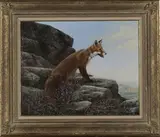 Stephen Cummins, Fox Alert, oil on canvas