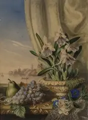 Augusta Innes Withers, Still Life Study of Orchids and Grapes before a Window revealing Boats in a Bay, 1849, watercolour