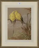Henry Barnabus Bright, Study of Two Golden Parakeets perched on a Branch, watercolour