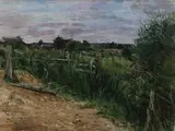 Olwyn Bowey, Two Partridges, watercolour and gouache