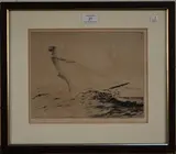 Nat Long, The Sea Nymph, monochrome etching