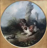 George Armfield, Spaniels flushing out Ducks
