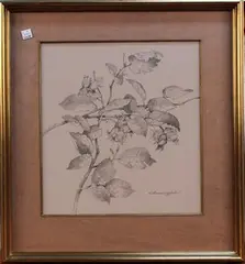 Gordon Beningfield, Hazel Nuts, pencil drawing
