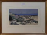 George Edward Lodge, Birds above Sand Dunes