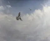 George Edward Lodge, Falcons soaring