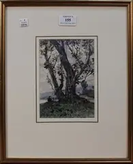 Henri Harpignies, Study of a Tree, watercolour and pencil